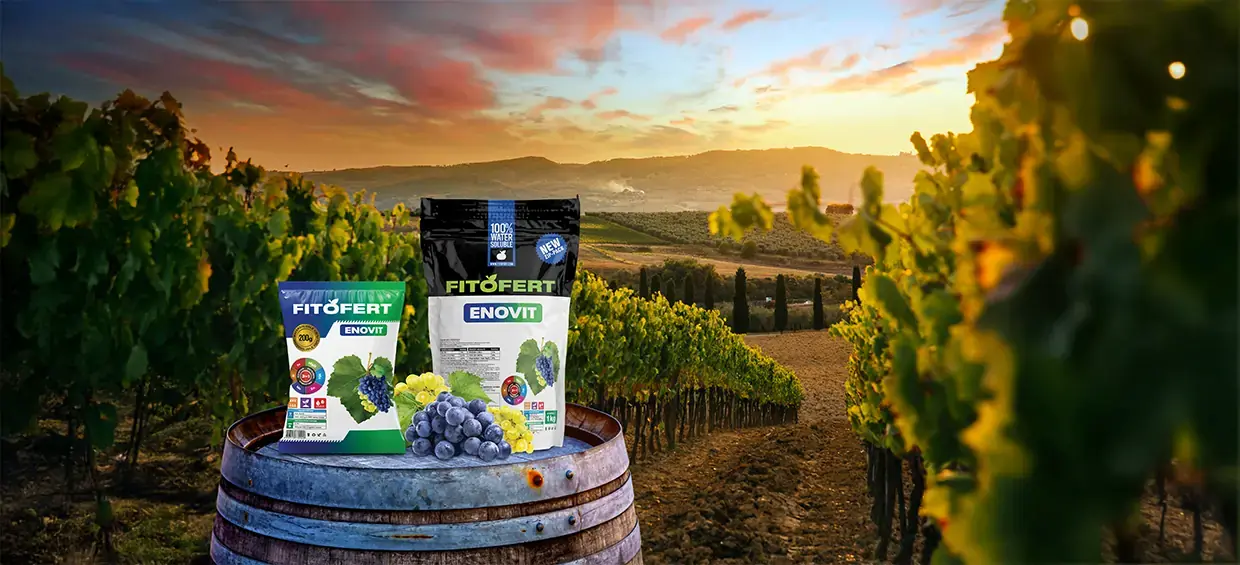 Fitofert Enovit
